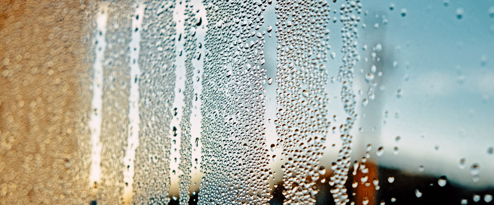 how to fight a humid house in San Antonio, TX